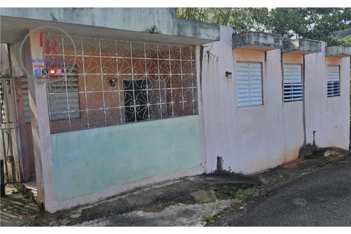 Espino Puerto Rico
