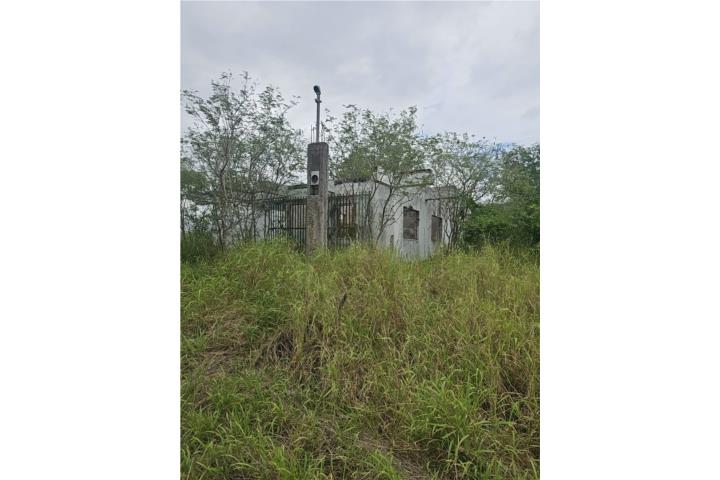 Costa Puerto Rico