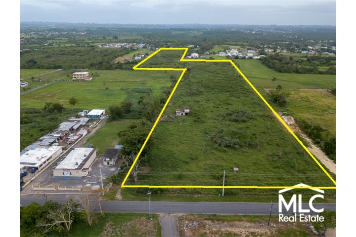 Jobos Puerto Rico Isabela