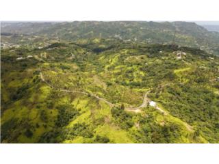 Real Estate Bienes Raices Puerto Rico