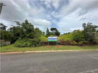 Hermoso Terreno en Excelente Ubicacin 