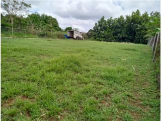 Se Vende Terreno en Bo. Bucarabones, Toa Alta
