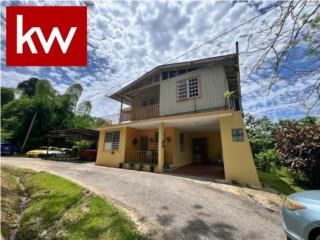 BO. CAONILLAS ARRIBA, CASA EN UTUADO