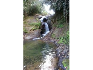 Finca de 7cds con Mucha Agua