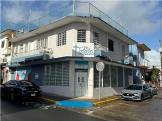 Galeria