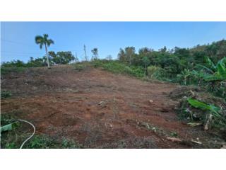BO. PLANAS ISABELA-SAN SEBASTIN, SOLAR 852 METROS