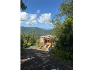 Venta-
