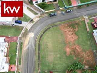 URB. EL PARAISO, TERRENO EN ARECIBO