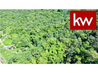 BO. ARENAS, TERRENO EN UTUADO