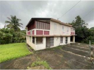 Bo Borinquen