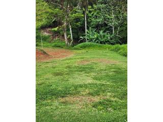 Bo. Bayamon