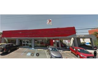 Galeria