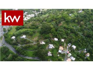 SECT. JOSE MARIA MARTINEZ, TERRENO EN GUAYNABO