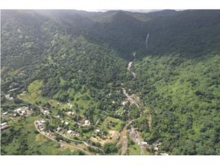 Bo. Ro Blanco, Naguabo