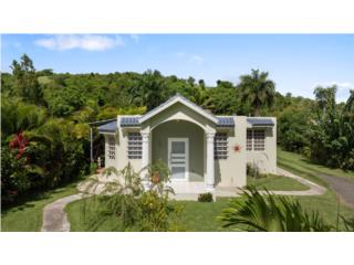 Peaceful living by the coast!