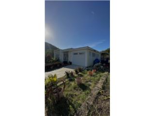 Palomino Hills solo CASH