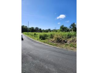 SOLARES- BO. BUENA VISTA CARR 923 HUMACAO PR