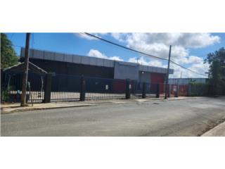 Galeria