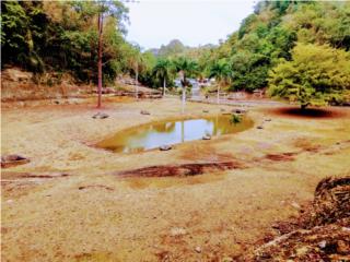 Finca, Codilleras, Ciales, 3 cuerdas, 124,999