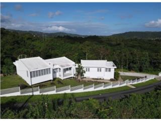 Mameyes, Luquillo