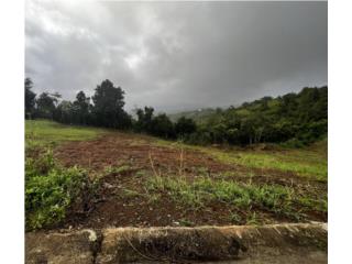 Terreno Hacienda Portal al Campo - Aguas Buen