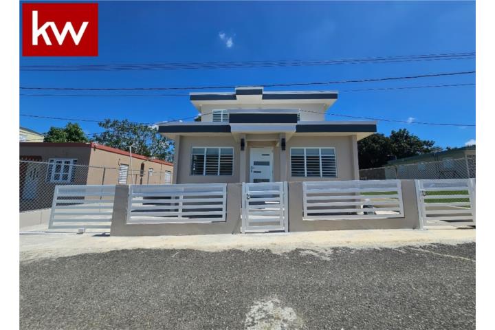 Galateo Bajo Puerto Rico