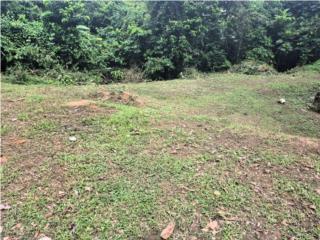 Bo. Vivi Abajo, Utuado