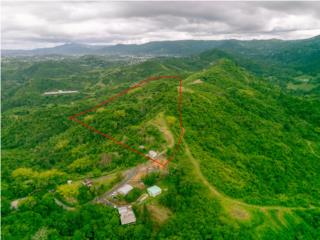 Terreno en Cayey
