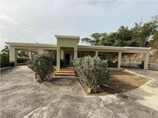 SECTOR FUIG- VENTA CASH