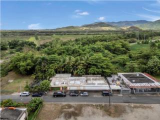 LOCAL COMERCIAL, BO LOS POLLOS PROVIDENCIA