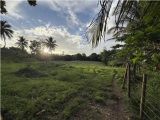 Hermosa finca de 11 cuerdas en Lajas