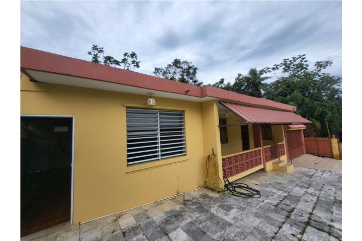 Lijas Puerto Rico Las Piedras