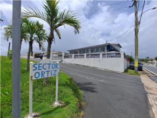 Ceiba Sur, SR # 198 Ramal 9935 Lote 1, 124K