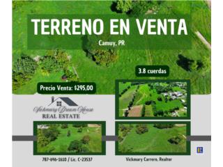 Galeria