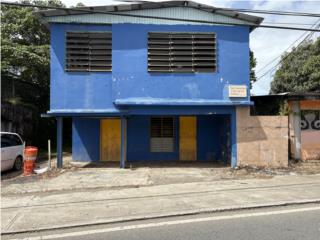Galeria