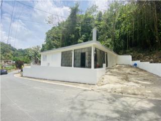 Bo Ro Nuevo! Propiedad remodelada y amplia 