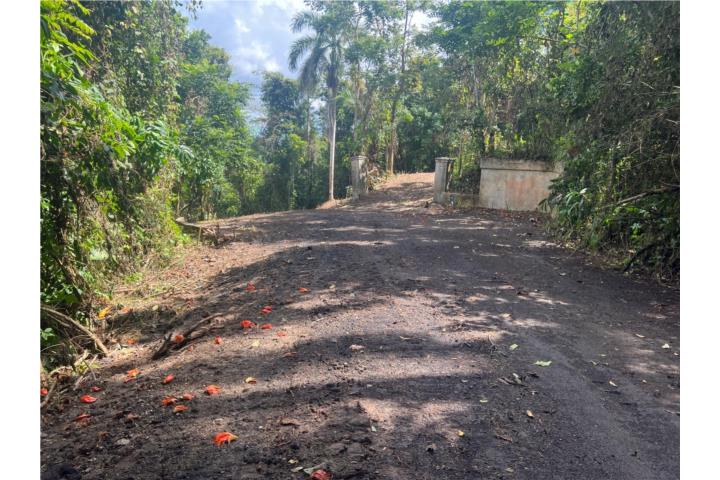 Esta hermosa finca se encuentra localizada a minutos del parque La Marquesa, tiene un total de 7 cue