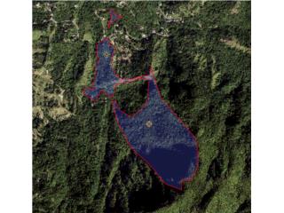 Oportunidad nica en Jayuya, Puerto Rico! 