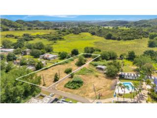 TERRENOS PARA OPORTUNIDAD DE DESARROLLO-MANATI 