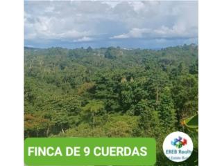 VENTA FINCA 9 CUERDAS USO MIXTO VISTA PANORAM