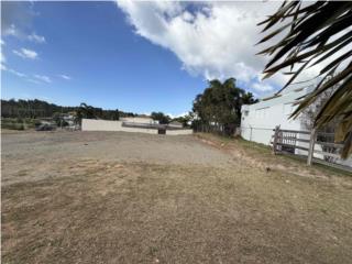 CABO ROJO: VENTA Solar de 2,030 m/c 