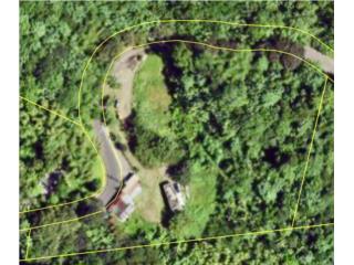 Just Listed: Unique Investment in El Yunque