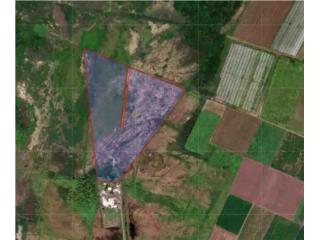 SE VENDE TERRENO AGRÍCOLA EN JUANA DÍAZ
