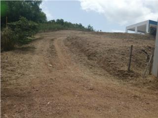 Yauco Almacigo Bajo Solar 892.6289 mts 50K