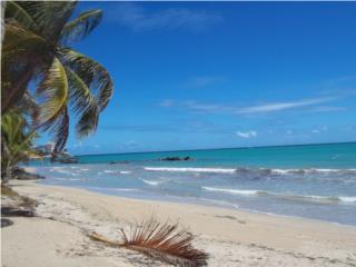 BEACH TOWER,3HAB/2BATH/