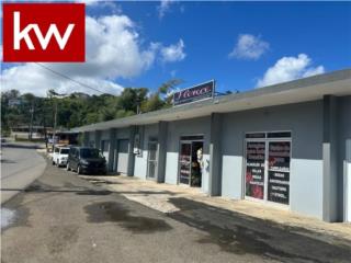 BO. HONDURAS, LOCAL COMERCIAL EN BARRANQUITAS