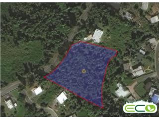 Hato Nuevo - TERRENO VACANTE