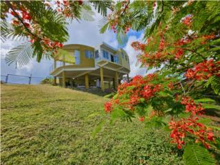  Charming Property Ocean View in Villa Borinquen