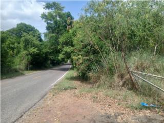 Finca de 25 cuerdas, Bo. Los Llanos, Coamo. 