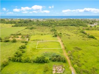 SOLAR RESIDENCIAL EN BARRIO ZANJAS - CAMUY